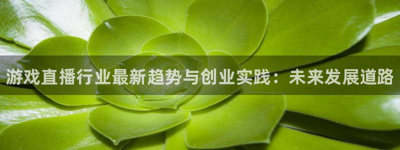 长征娱乐app下载