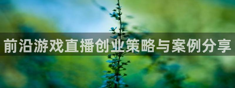 长征娱乐平台登录入口