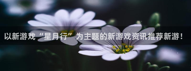 长征娱乐注册服务条款
