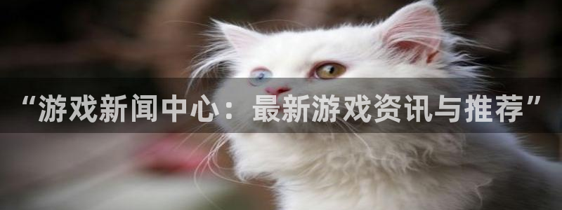 长征娱乐4开户